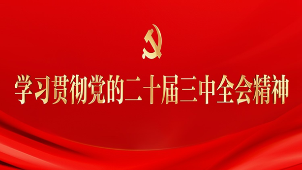 二十屆三中全會.png